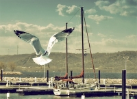 Digital Photography Digital Photography