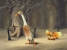 Duck Walk