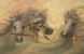 Horse Essence