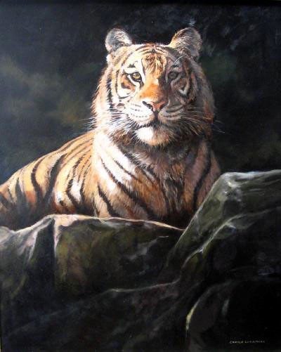 Tiger Tiger