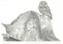 Aghaid