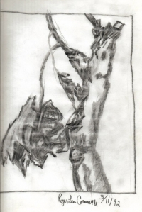 Untitled Other Untitled Other