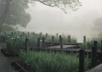 Spirit Walk at MO Botanical Gardens