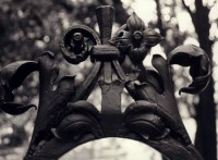Wrought Iron Fence