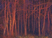 First Light, Last of Autumn