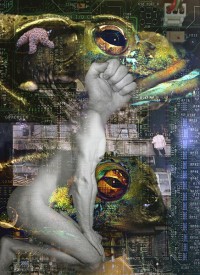 Untitled Untitled