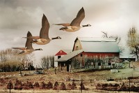 Working Farm