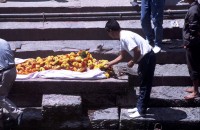 Cremations Cremations
