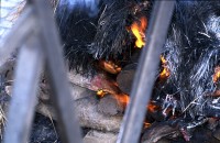 Cremations