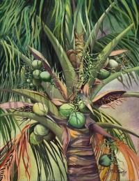 Maui Coconuts/ Watercolor