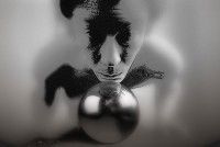 photography, digital manipulation photography, digital manipulation