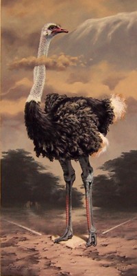 Safe With His Head in the Clouds