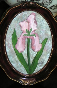 Tennessee Iris