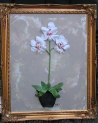 Mystic White Orchids # 1