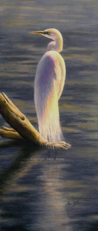 Evening Prelude- 6.6" x 2.5&quo