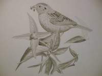 Step 4