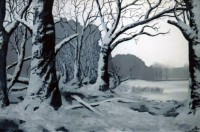 Snowy Land