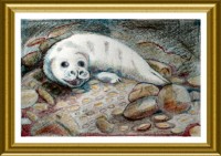 Baby Seal
