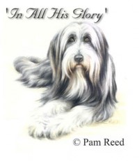 pastel watercolour portrait of a dog