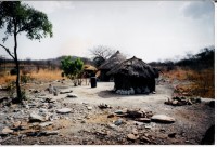 mashava zimbabwe