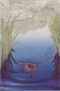 Peacock Feather