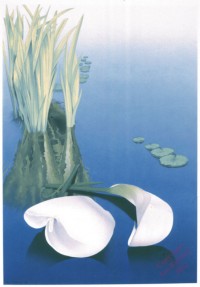 Water Lilies