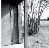 Winter Crape Myrlte &amp; Rural Buiding