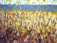 Coastal Fringe