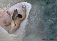 Pearl of the Virgin