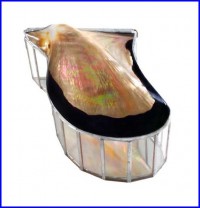 polished brownlip seashell box