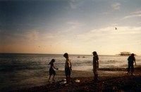 At the beach