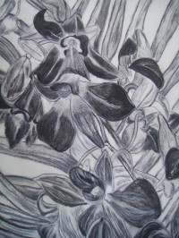 Untitled Art