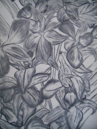 Untitled Art