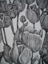 Untitled Art