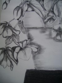 Untitled Art