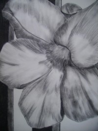 Untitled Art