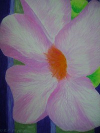 Untitled Art