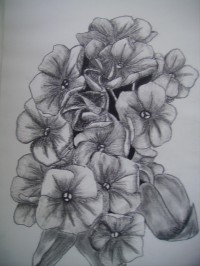Untitled Art