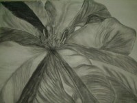 Untitled Art