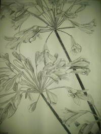 Untitled Art