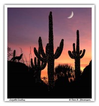 Arizona photo © Don Stevenson