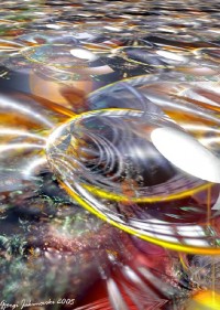 Magnetic fields-1a
