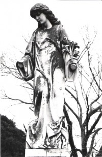 Guardian Angel Guardian Angel