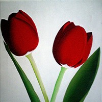 Two red tulips
