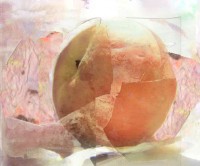 Peach Collage