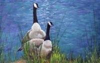 Resting Geese