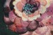 Painted Flower Bloom