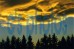 voices of the sun