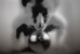 photography, digital manipulation