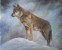 Cold Surveillance. (Timber Wolf)